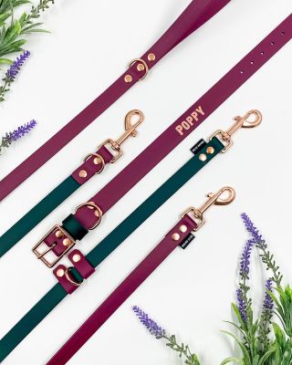 Vínová a tmavě zelená se vždycky potkají ve správné kombinaci 😍 Konfigurovat můžete z několika typů obojků a vodítek. . ....