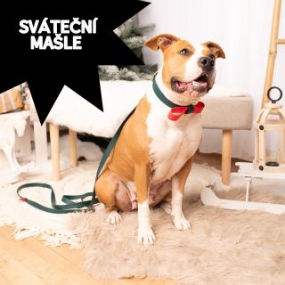 Na webu už ladíme Vánoce 🎄 Máme nové dárkové sady a taky tyhle roztomilé sváteční mašle 🎀 na obojky pro pejsky! 🐶 Líbí?...