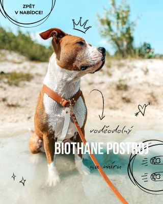 💜 Jsou zpátky! 🐾 Na přání jsme vrátili do výroby Biothane® postroje na míru – lehké, voděodolné a navržené přesně pro...